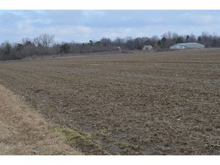 Property photo 46 - 173 +/- Acres Offered in 3 Tracts - Ohio Farmland